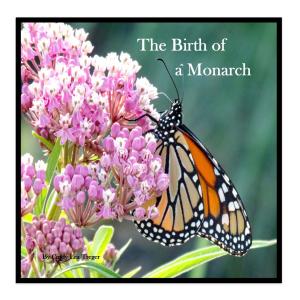 Author Cindy Treger Releases A Childrens Book Titled The Birth Of A Monarch
